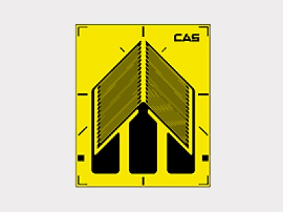 韓國(guó)CAS凱士Double Shear T-Series 應(yīng)變器