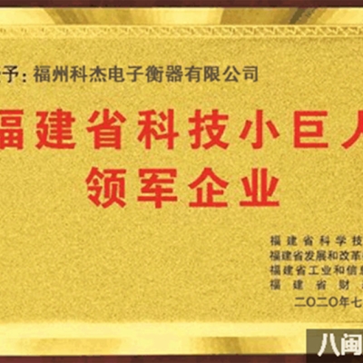 福州科杰電子衡器有限公司榮獲 2020年福建省科技小巨人領軍企業等榮譽稱號